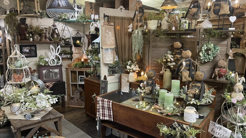 Primitive Beginnings